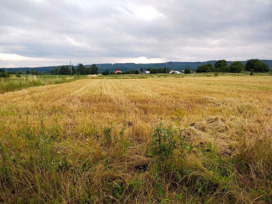 Продаж землі сільськогосподарського призначення, Чернівецька, Іспас