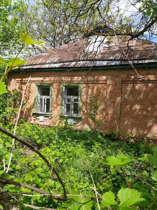 Чудова ділянка біля соснового лісу та пляжу в с. Головач