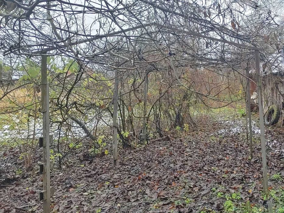 Продаж земельної ділянки під житлову забудову, 22сот, Руданці