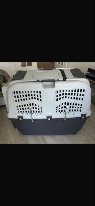 Caixa transportadora de cães de porte médio