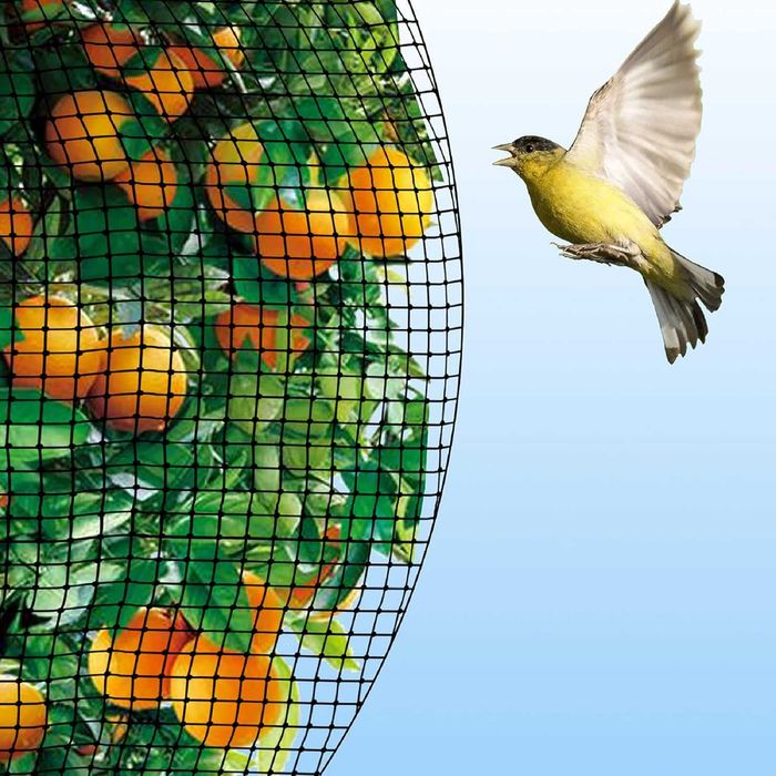 rede anti-aves pombos