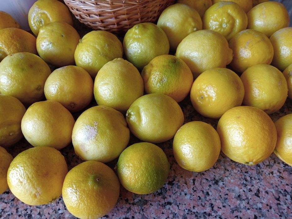 Limas biológicas