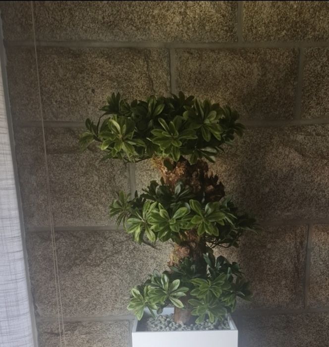Plantas artificiais e semi artificiais