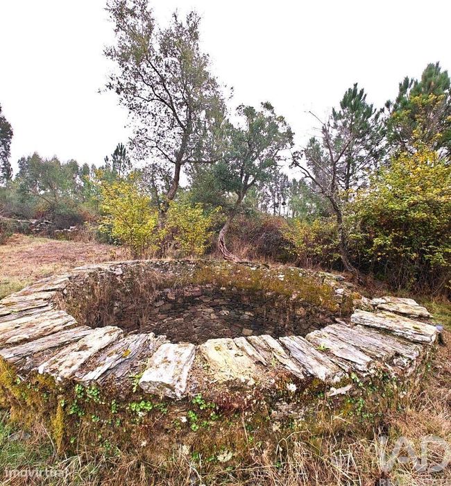 Quinta rural em Benquerenças