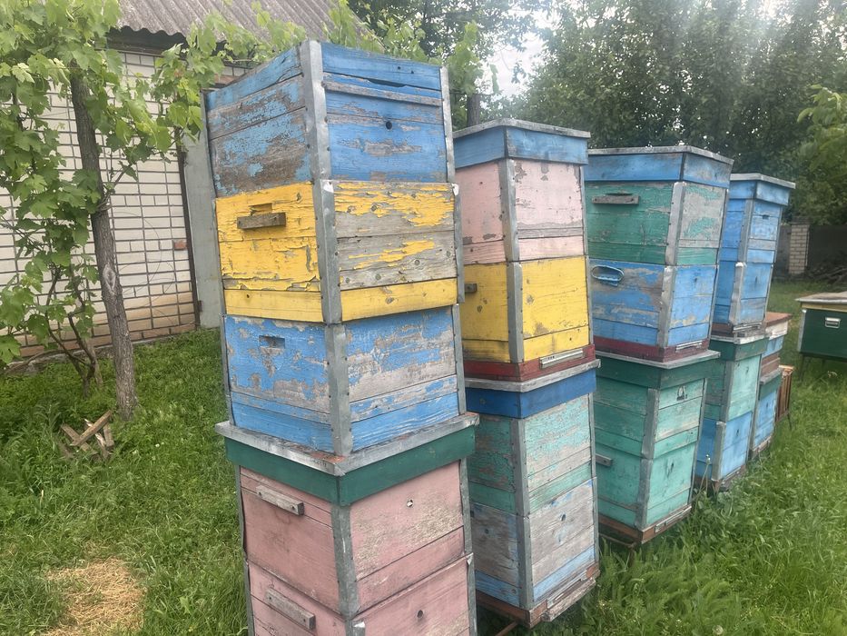 Продам корпусні вулики 10 рамочні