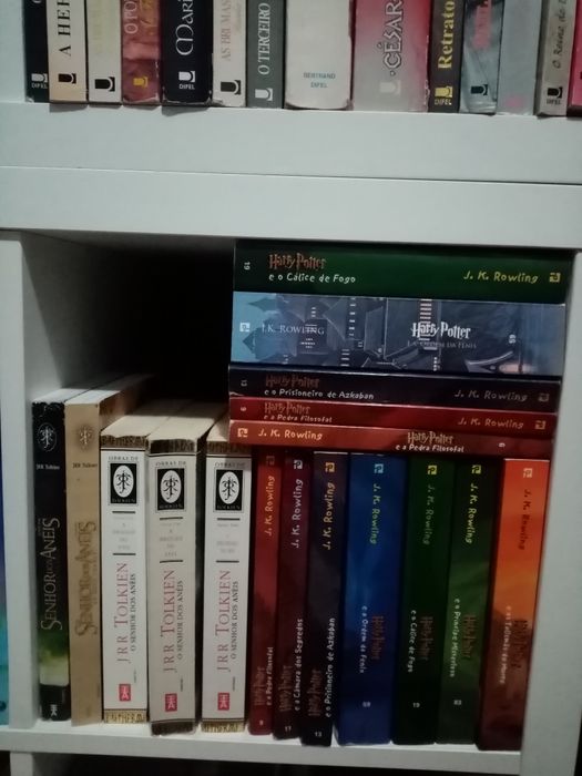 Livros Harry Potter + Tolkien