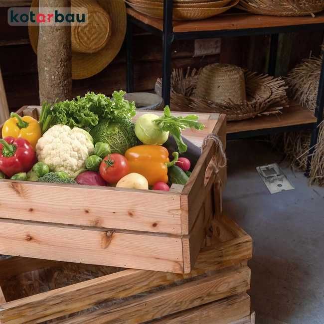 Metalowa klasyczna pułapka na szczury myszy 17 cm x 9 cm. Łapka. Duża