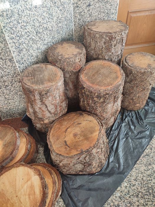 Conjunto de 6 Troncos + 6 Rodas de Madeira (Pinheiro) - ÚLTIMA SEMANA!
