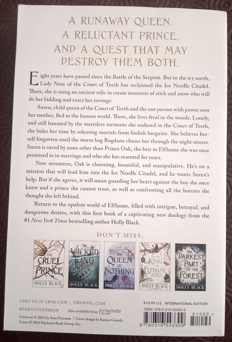 Livro "Theo Stolen Heir"