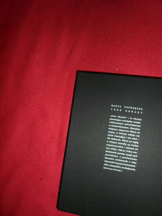 Maria Poprzęcka - Inne obrazy : oko, widzenie, sztuka : od Albertiego