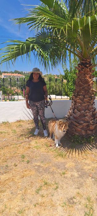 Pet Sitting em Ferragudo | Cães e Gatos