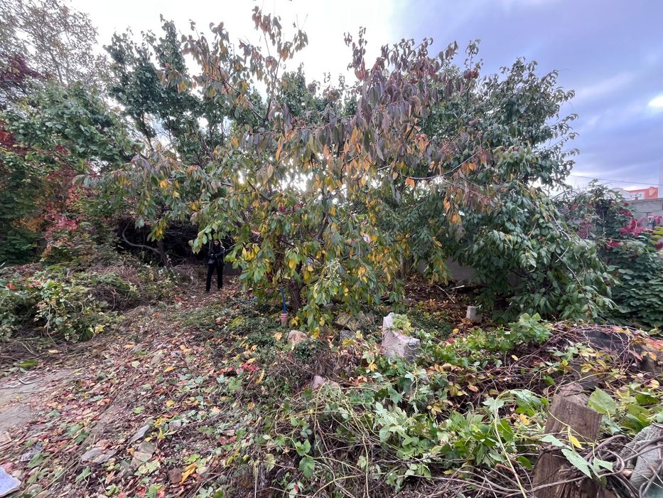 House by the address st. Kulikovo pole pl Oktyabrskoy revolyutsii pl (area 36 m²) - Atlanta.ua - photo 6