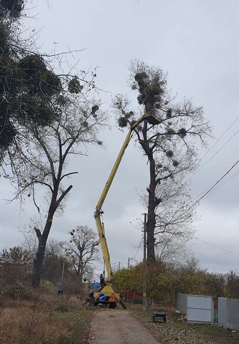Автовишка АГП-22.04 на шасі ЗІЛ 431610