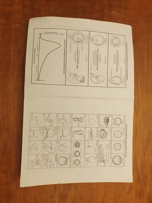 Langman Embriologia Medica