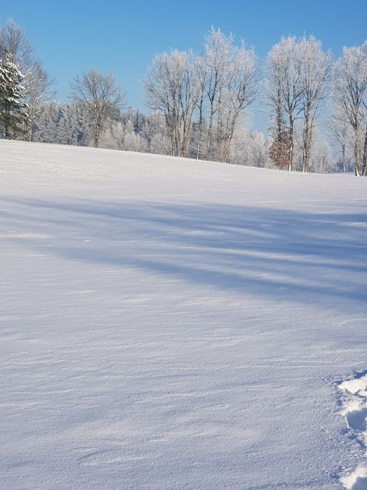 Sprzedam działkę rolną