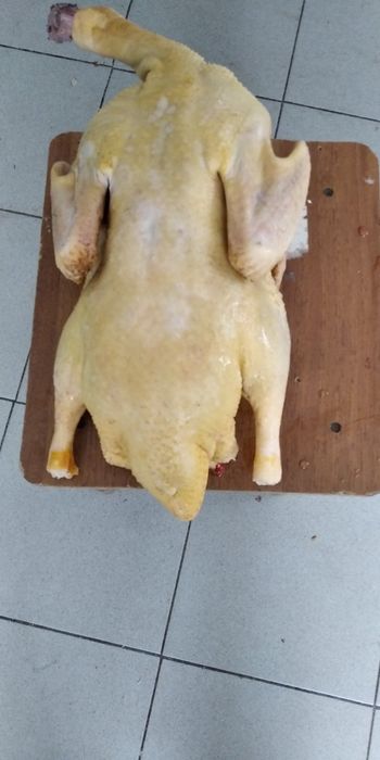 Мускусні качки різного віку та тушки качок