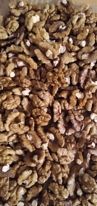 Orzechy włoskie już bez łupinek