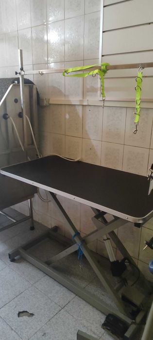 Aluga se espaço para banhos e tosquias já com todo o equipamento