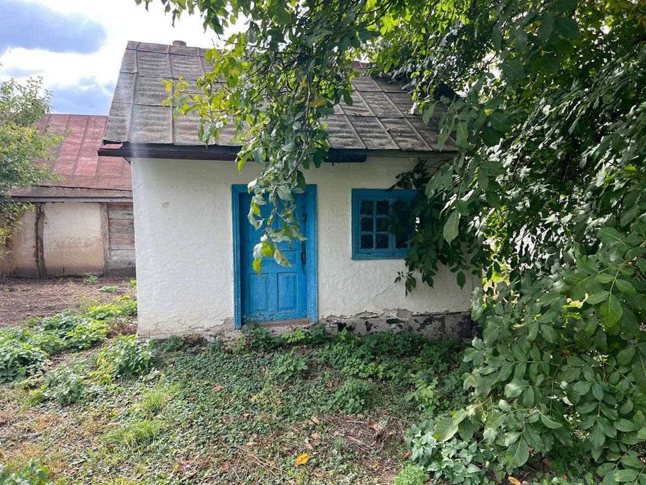 Будинок,Вільшана,земельна ділянка