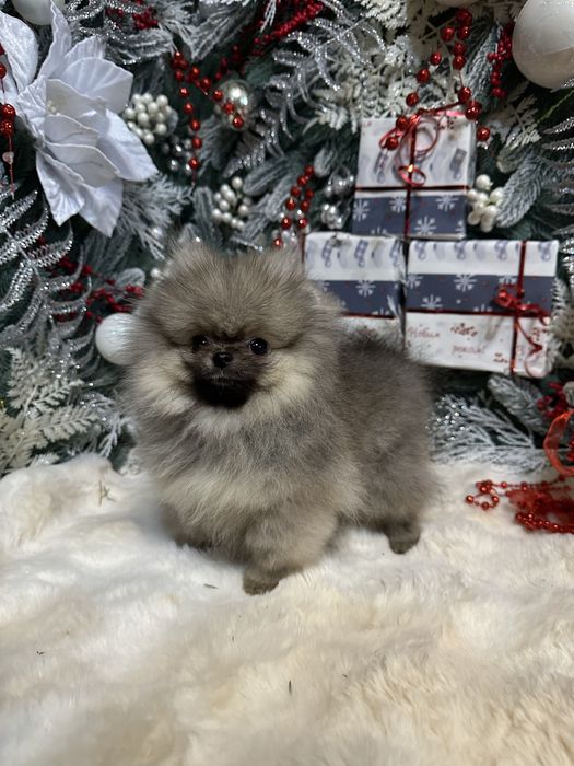 Крошка на долошку,посочка