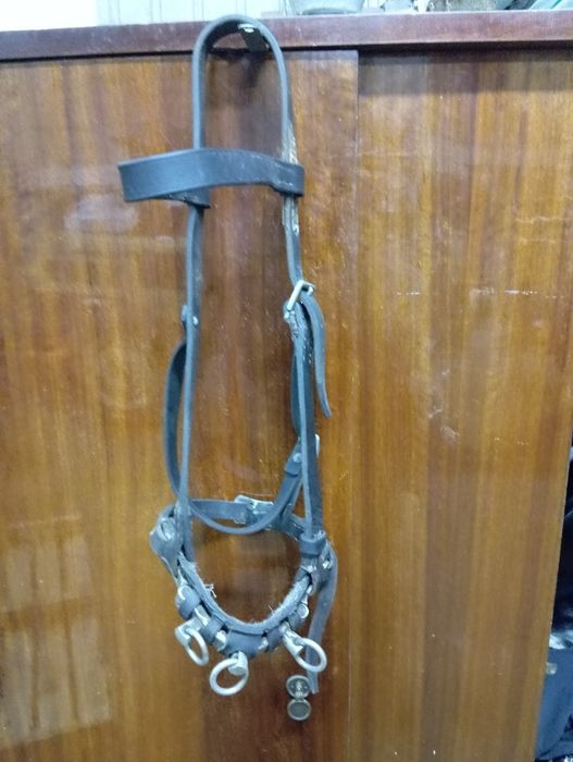 Vendo Serrilhão (equitação)