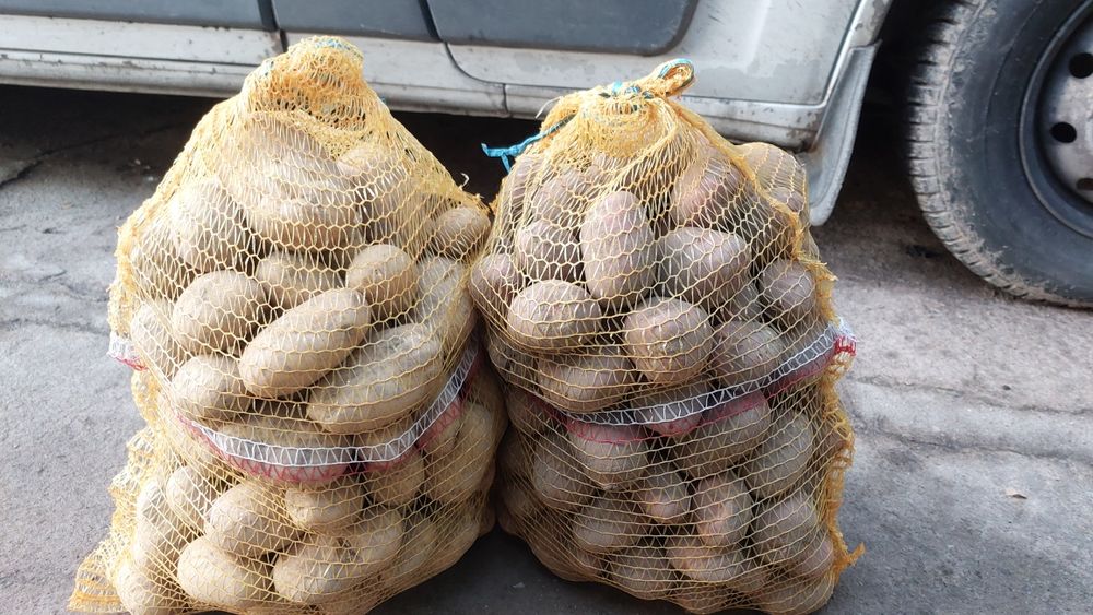 Ziemniaki prosto od ROLNIKA