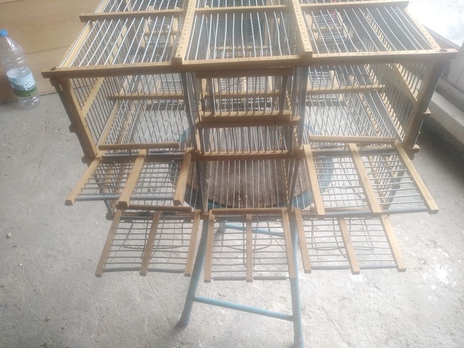 Alçapão automático