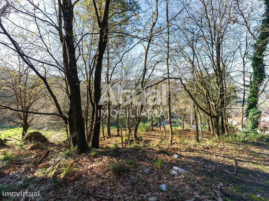 Terreno  Venda em Santa Eulália,Vizela