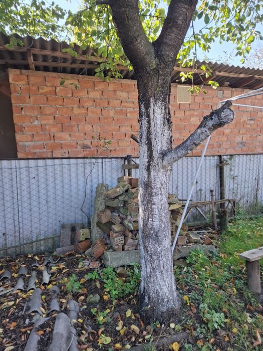 Дом по адресу ул. Кишинівська (площадь 43,4 м²) - Atlanta.ua - фото 10