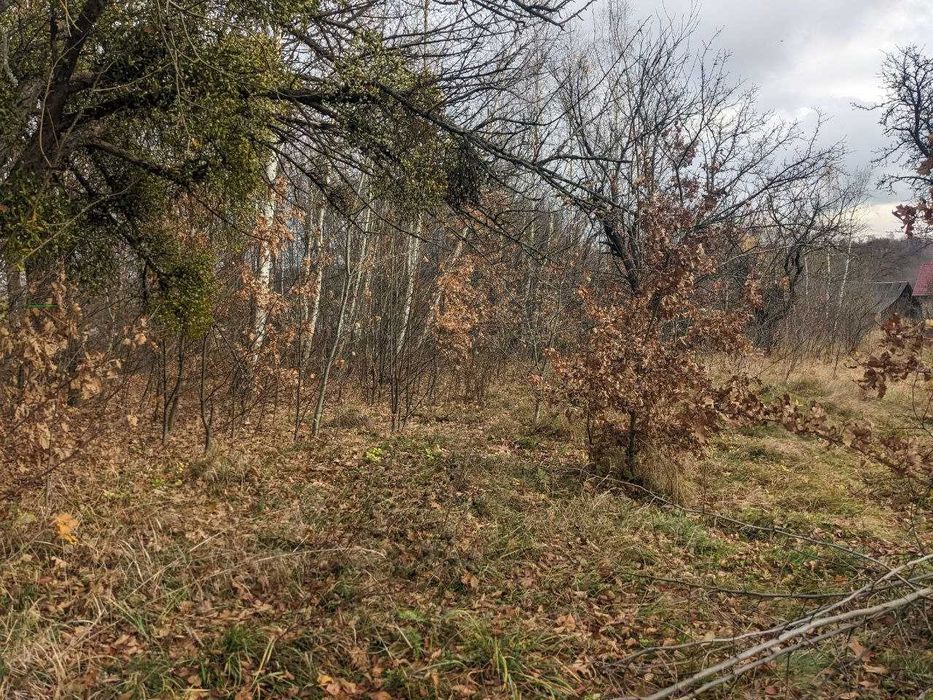 Земельна ділянка с.Майдан під буд. 8 сотих (8)