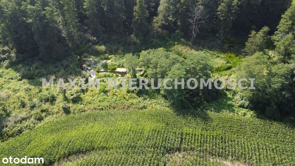 Działki z WZ nad rzeką Miszewko gm.Bodzanów - Widok 5