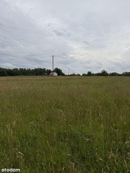Widokowa działka w Sołonce z WARUNKAMI ZABUDOWY - 19 ar