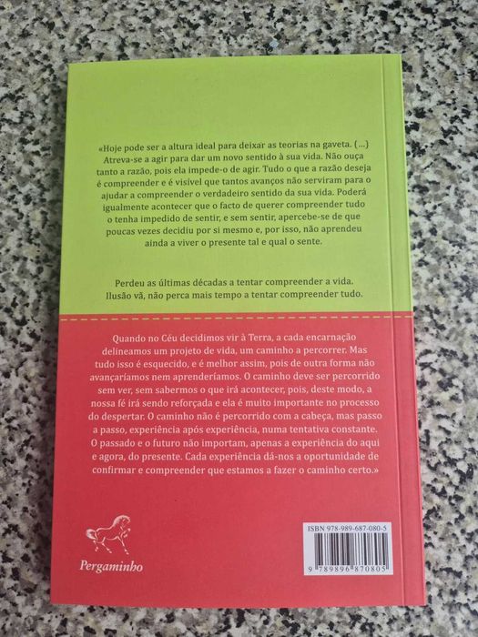 Livro totalmente Novo "Linha Direta ao Céu" de Marta Cabeza Villanueva