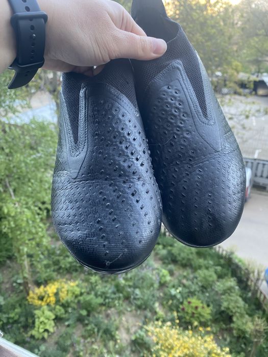 Adidas Predator