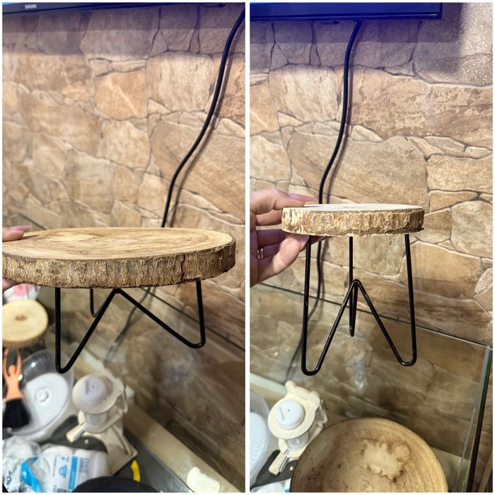 Terrário para roedor