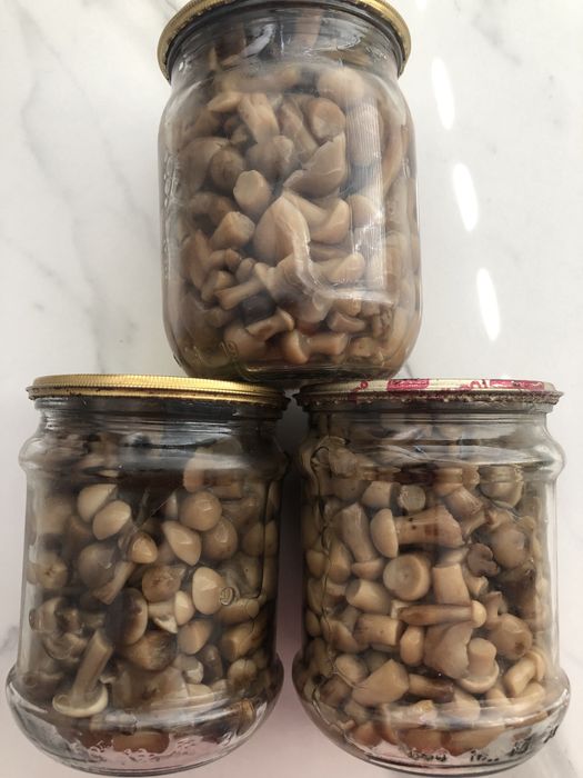 Опеньки мариновані 0,5 л