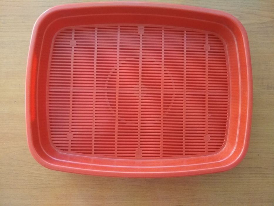 Новый лоток для котика