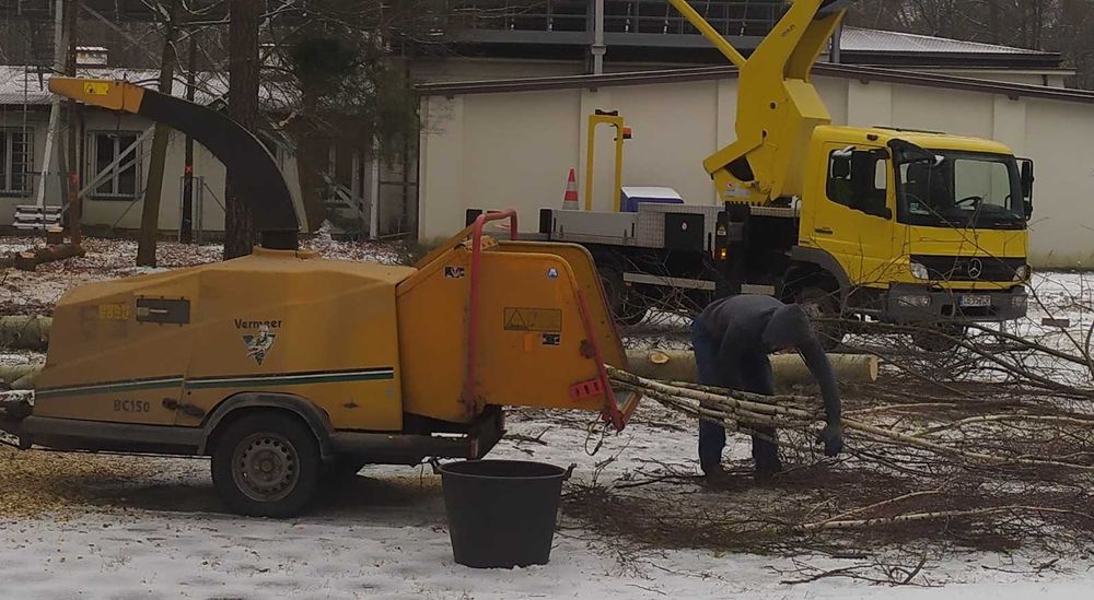 Wycinka drzew Leszno | Frezowanie pni | Czyszczenie działek