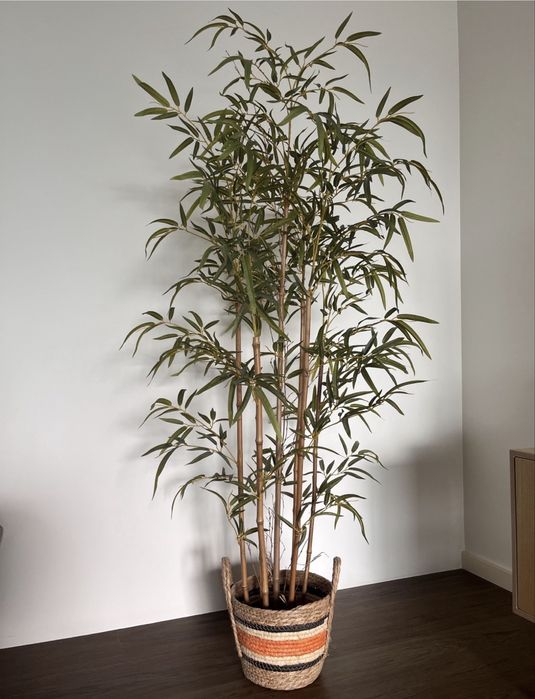 Plantas Decorativas Artificiais (Bambu + Palmeira)