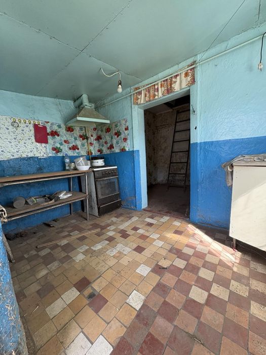 Будинок у Гребінках на 60 сотках — чудове місце для життя