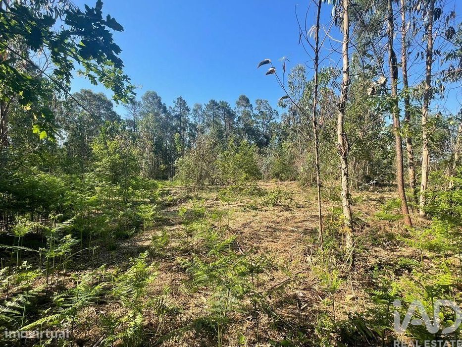 Terreno em Vila de Punhe de 4388,00 m2