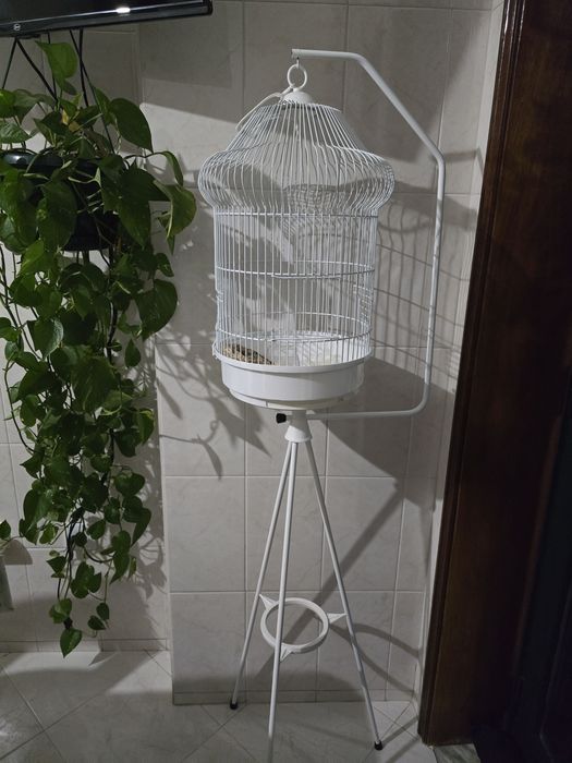 Suporte gaiola pássaro