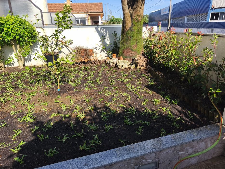 Serviços jardinagem