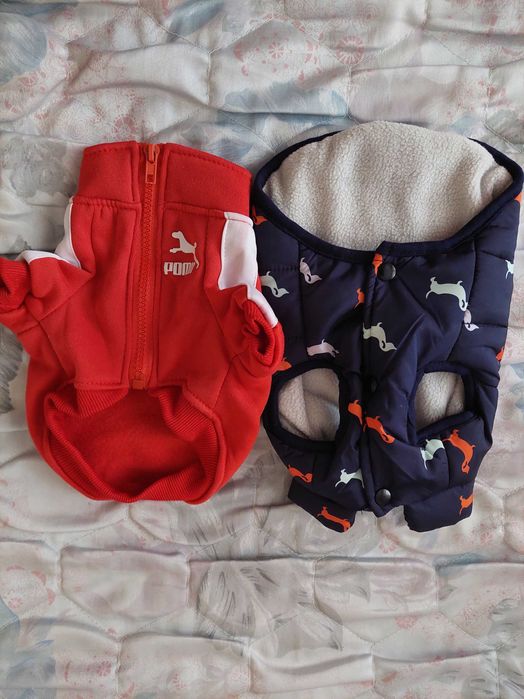 Одяг для маленької собачки