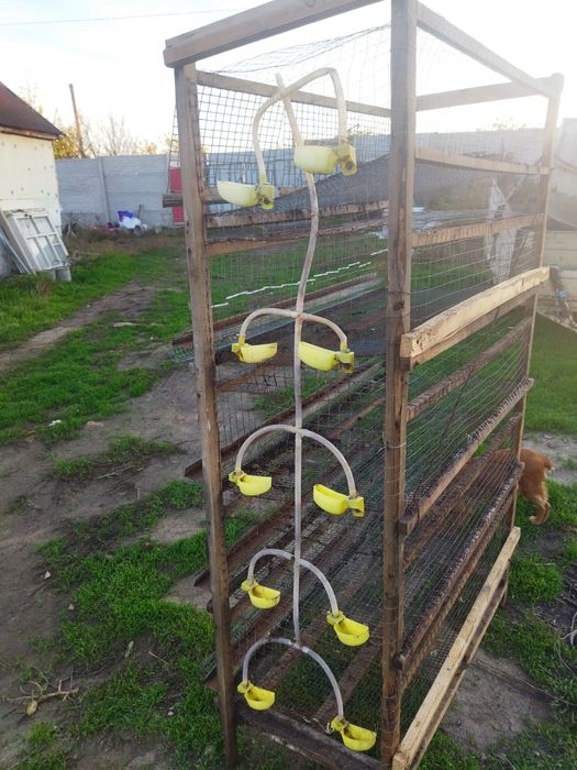 Клетка для перепелов