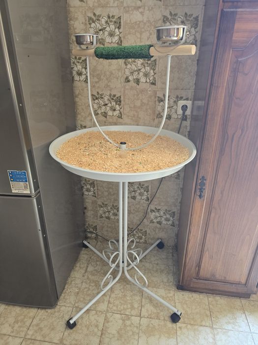 Poleiro para papagaio