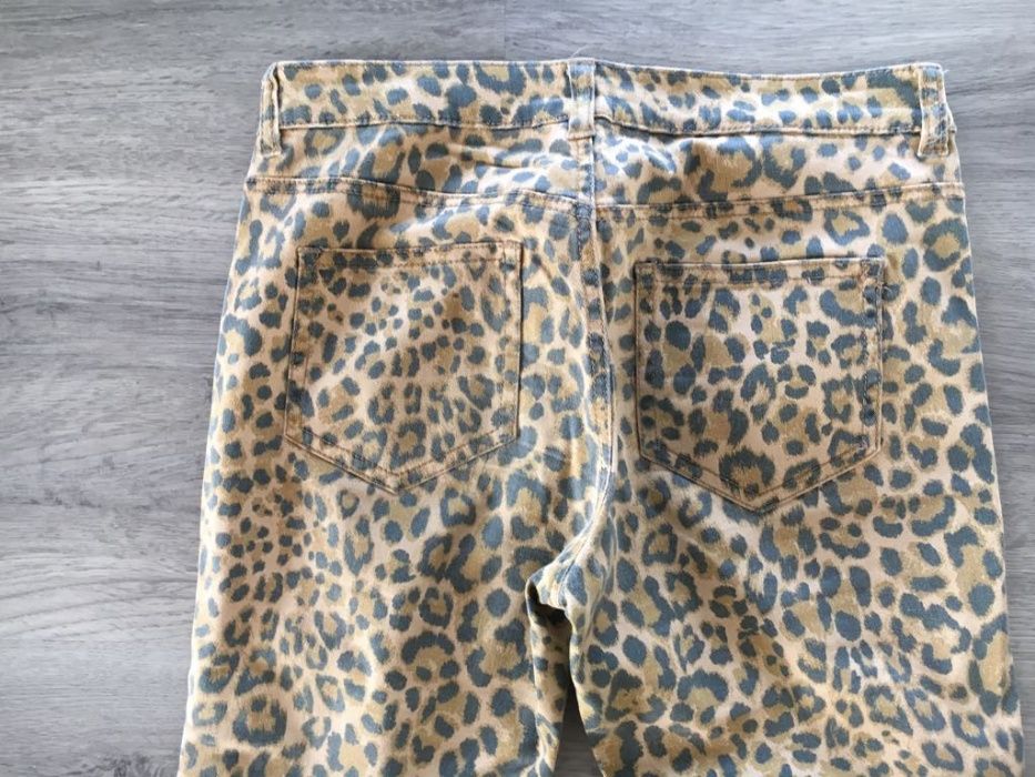 Spodnie panterka H&M 36 wysoki stan