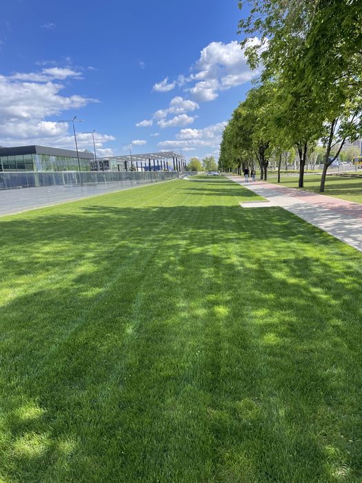 Озелененя територій.  Ландшафтний дизайн. Рулонний газон.