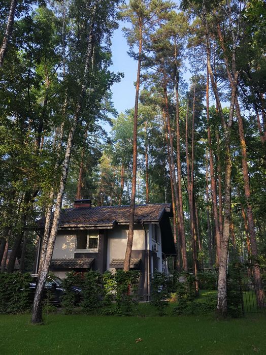 Оренда дім у лісі від власника