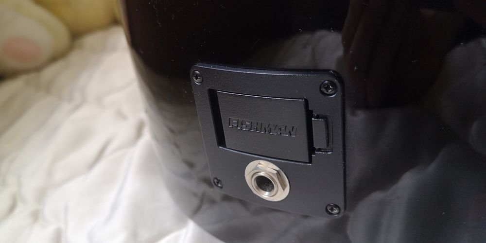 vIOLÃO eletrico  Dreadnought Cutaway Pré-FISHMAN